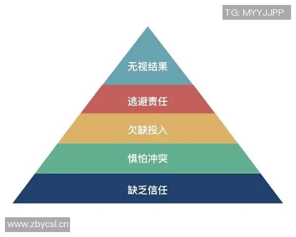深圳排球队团队协作的变革与热议背后的故事与启示 深圳排球队团队协作的变革与热议背后的故事与启示