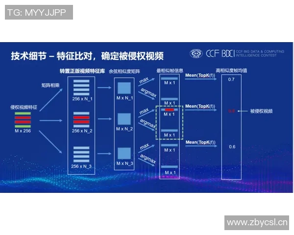 深圳滑板队的成功运营策略与团队管理深度分析