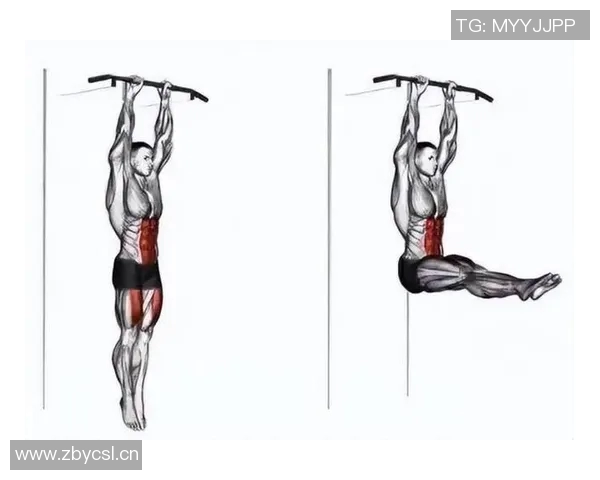 练核心力量的健身器材有哪些?附图文讲解 练核心力量的健身器材有哪些?附图文讲解